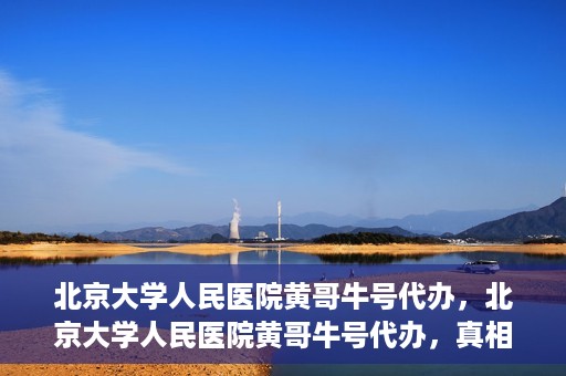 北京大学人民医院黄哥牛号代办，北京大学人民医院黄哥牛号代办，真相揭秘与深度解读
