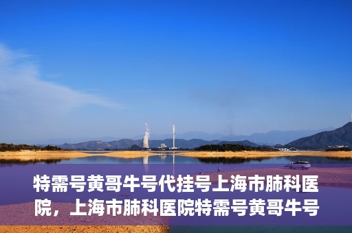 特需号黄哥牛号代挂号上海市肺科医院，上海市肺科医院特需号黄哥牛号代挂号服务解析