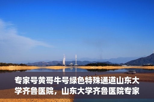 专家号黄哥牛号绿色特殊通道山东大学齐鲁医院，山东大学齐鲁医院专家号黄哥牛号绿色特殊通道揭秘
