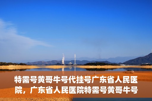 特需号黄哥牛号代挂号广东省人民医院，广东省人民医院特需号黄哥牛号代挂号服务解析