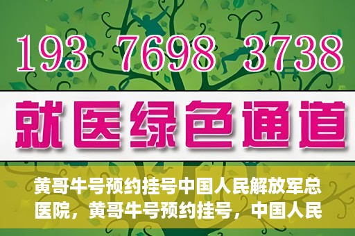 黄哥牛号预约挂号中国人民解放军总医院，黄哥牛号预约挂号，中国人民解放军总医院就医新体验