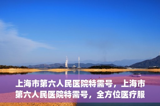 上海市第六人民医院特需号，上海市第六人民医院特需号，全方位医疗服务的深度解读