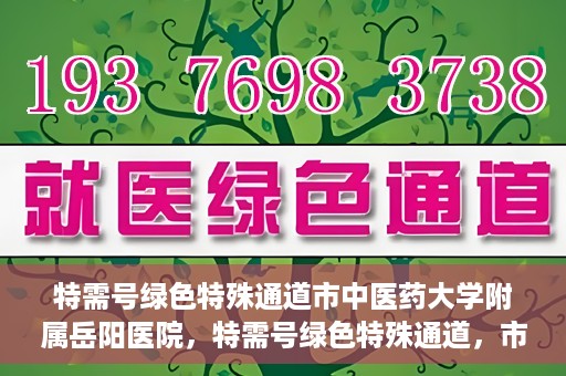 特需号绿色特殊通道市中医药大学附属岳阳医院，特需号绿色特殊通道，市中医药大学附属岳阳医院的医疗特色与优势