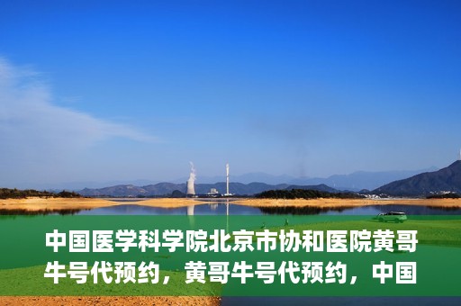 中国医学科学院北京市协和医院黄哥牛号代预约，黄哥牛号代预约，中国医学科学院北京市协和医院挂号新途径探索