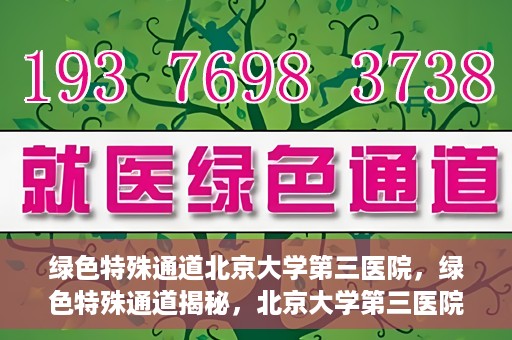绿色特殊通道北京大学第三医院，绿色特殊通道揭秘，北京大学第三医院的探索与实践