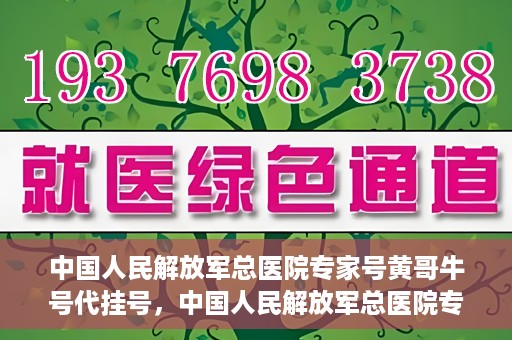 中国人民解放军总医院专家号黄哥牛号代挂号，中国人民解放军总医院专家号黄哥牛号代挂号服务解析