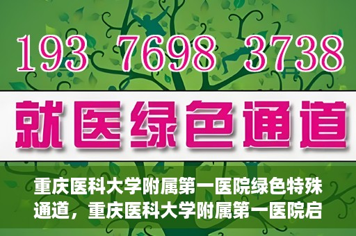重庆医科大学附属第一医院绿色特殊通道，重庆医科大学附属第一医院启动绿色特殊通道，高效医疗服务的探索与实践
