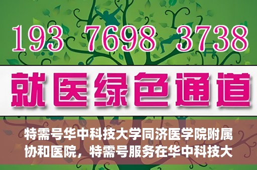 特需号华中科技大学同济医学院附属协和医院，特需号服务在华中科技大学同济医学院附属协和医院，一站式健康体验与医疗关怀新篇章
