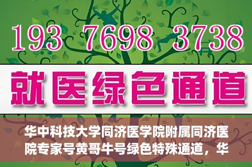 华中科技大学同济医学院附属同济医院专家号黄哥牛号绿色特殊通道，华中科技大学同济医院专家号黄哥牛号，绿色特殊通道揭秘
