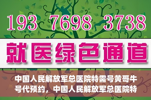 中国人民解放军总医院特需号黄哥牛号代预约，中国人民解放军总医院特需号专家预约服务解析，黄哥牛号预约详解