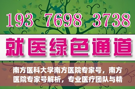 南方医科大学南方医院专家号，南方医院专家号解析，专业医疗团队与精准诊疗服务