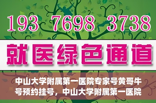 中山大学附属第一医院专家号黄哥牛号预约挂号，中山大学附属第一医院专家黄哥牛号预约攻略，一站式挂号解析