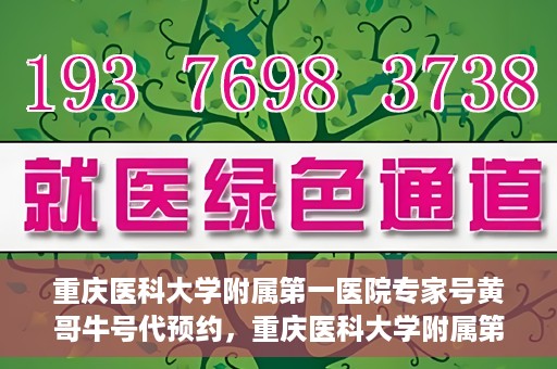 重庆医科大学附属第一医院专家号黄哥牛号代预约，重庆医科大学附属第一医院专家号预约服务解析，黄哥牛号预约攻略揭秘