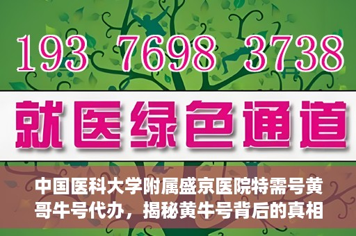 中国医科大学附属盛京医院特需号黄哥牛号代办，揭秘黄牛号背后的真相，盛京医院特需号代办乱象解析
