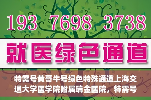 特需号黄哥牛号绿色特殊通道上海交通大学医学院附属瑞金医院，特需号黄哥牛号，瑞金医院的绿色特殊通道探索