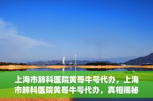 上海市肺科医院黄哥牛号代办，上海市肺科医院黄哥牛号代办，真相揭秘与深度解读