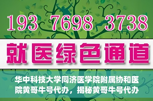 华中科技大学同济医学院附属协和医院黄哥牛号代办，揭秘黄哥牛号代办背后的故事，华中科技大学同济医学院附属协和医院就医新途径探索