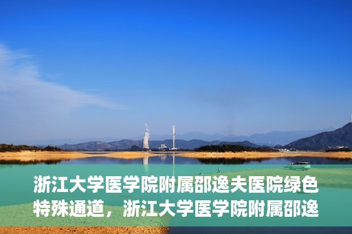 浙江大学医学院附属邵逸夫医院绿色特殊通道，浙江大学医学院附属邵逸夫医院绿色特殊通道，高效医疗服务的创新实践