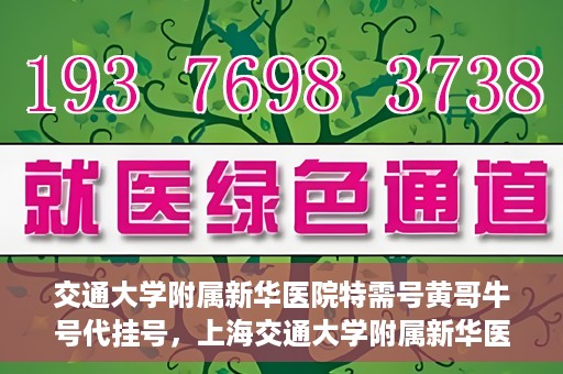 交通大学附属新华医院特需号黄哥牛号代挂号，上海交通大学附属新华医院特需号代挂号服务解析——黄哥牛号代挂号攻略