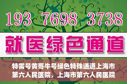 特需号黄哥牛号绿色特殊通道上海市第六人民医院，上海市第六人民医院特需绿色特殊通道，黄哥牛号引领医疗新风尚