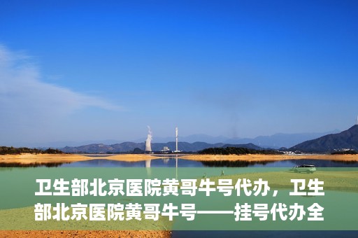 卫生部北京医院黄哥牛号代办，卫生部北京医院黄哥牛号——挂号代办全攻略