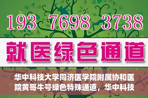华中科技大学同济医学院附属协和医院黄哥牛号绿色特殊通道，华中科技大学同济医学院附属协和医院黄哥牛号绿色就医特殊通道揭秘