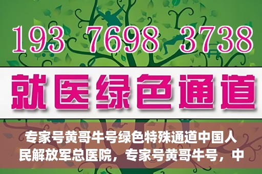 专家号黄哥牛号绿色特殊通道中国人民解放军总医院，专家号黄哥牛号，中国人民解放军总医院绿色特殊通道揭秘