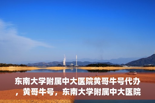 东南大学附属中大医院黄哥牛号代办，黄哥牛号，东南大学附属中大医院的代办之路
