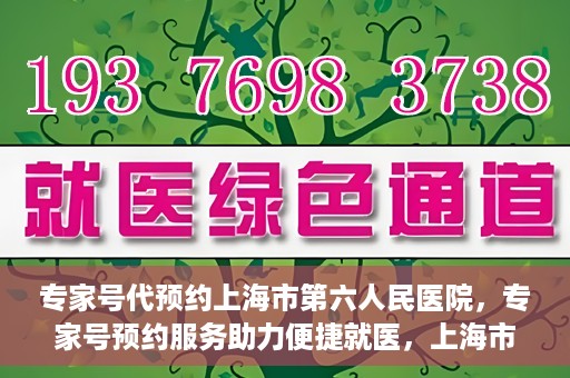 专家号代预约上海市第六人民医院，专家号预约服务助力便捷就医，上海市第六人民医院开启线上预约新篇章