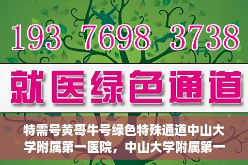 特需号黄哥牛号绿色特殊通道中山大学附属第一医院，中山大学附属第一医院特需号黄哥牛号绿色特殊通道揭秘