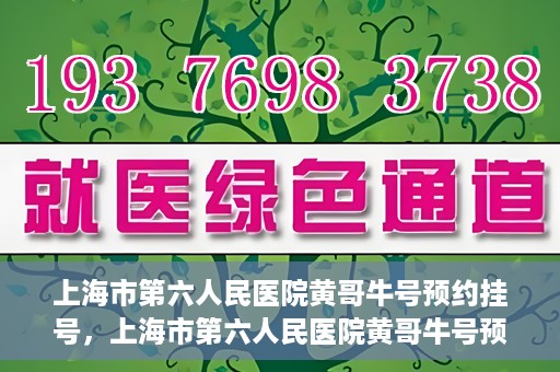 上海市第六人民医院黄哥牛号预约挂号，上海市第六人民医院黄哥牛号预约挂号攻略，轻松挂号，便捷就医体验