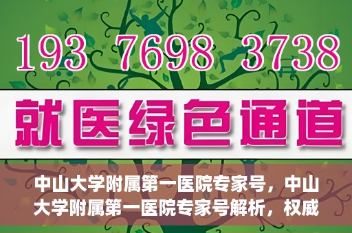 中山大学附属第一医院专家号，中山大学附属第一医院专家号解析，权威医疗团队的专业解读与诊疗之道
