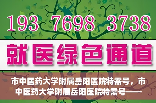 市中医药大学附属岳阳医院特需号，市中医药大学附属岳阳医院特需号——高端医疗服务体验新篇章