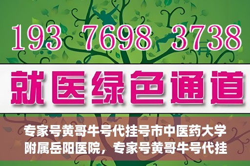 专家号黄哥牛号代挂号市中医药大学附属岳阳医院，专家号黄哥牛号代挂号服务在岳阳医院，深度解读与预约指南