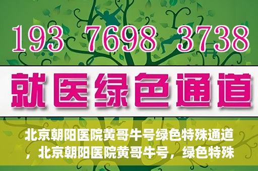 北京朝阳医院黄哥牛号绿色特殊通道，北京朝阳医院黄哥牛号，绿色特殊通道开启健康之门