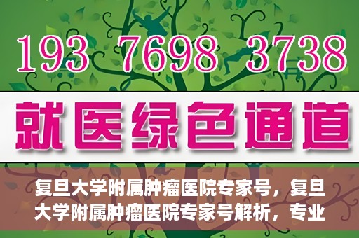 复旦大学附属肿瘤医院专家号，复旦大学附属肿瘤医院专家号解析，专业诊疗与权威解读的权威指南