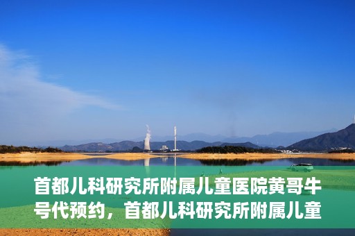 首都儿科研究所附属儿童医院黄哥牛号代预约，首都儿科研究所附属儿童医院黄哥预约服务详解