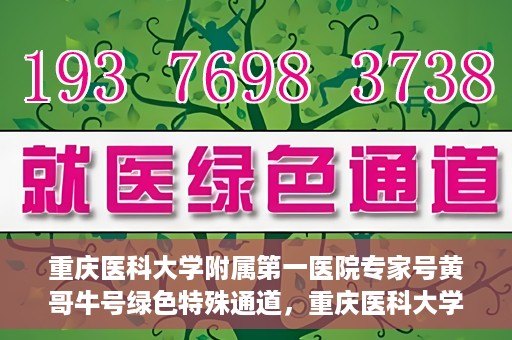 重庆医科大学附属第一医院专家号黄哥牛号绿色特殊通道，重庆医科大学附属第一医院专家号黄哥牛号，绿色特殊通道的医学力量