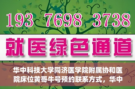 华中科技大学同济医学院附属协和医院床位黄哥牛号预约联系方式，华中科技大学同济医学院附属协和医院床位预约信息及联系方式解析