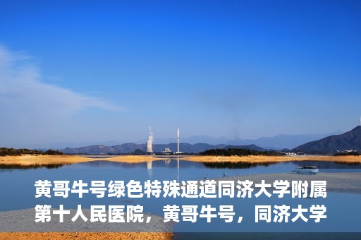 黄哥牛号绿色特殊通道同济大学附属第十人民医院，黄哥牛号，同济大学附属第十人民医院开启绿色特殊通道，助力健康前行