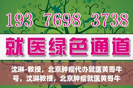 沈琳-教授，北京肿瘤代办就医黄哥牛号，沈琳教授，北京肿瘤就医黄哥牛号解析与解读