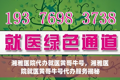 湘雅医院代办就医黄哥牛号，湘雅医院就医黄哥牛号代办服务揭秘