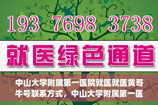 中山大学附属第一医院就医就医黄哥牛号联系方式，中山大学附属第一医院就医攻略，黄哥牛号联系方式揭秘