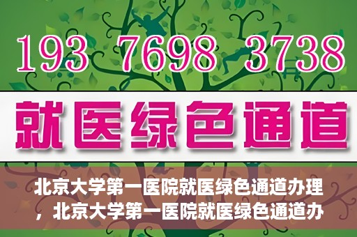 北京大学第一医院就医绿色通道办理，北京大学第一医院就医绿色通道办理详解，打造顺畅就医体验