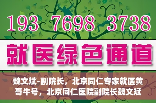 魏文斌-副院长，北京同仁专家就医黄哥牛号，北京同仁医院副院长魏文斌，黄哥牛号背后的专家就医解读