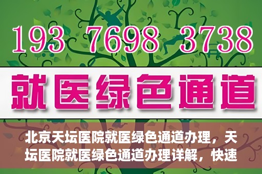 北京天坛医院就医绿色通道办理，天坛医院就医绿色通道办理详解，快速就医攻略