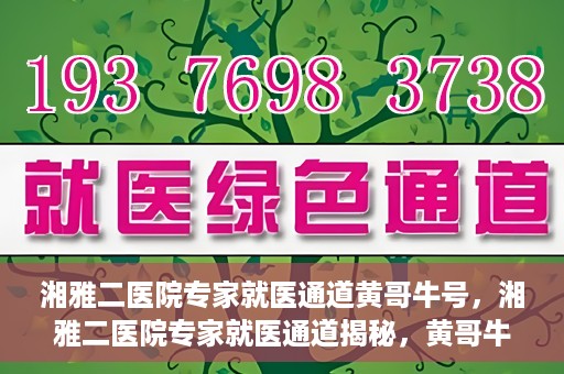 湘雅二医院专家就医通道黄哥牛号，湘雅二医院专家就医通道揭秘，黄哥牛号引领就医新风尚