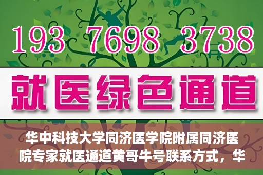 华中科技大学同济医学院附属同济医院专家就医通道黄哥牛号联系方式，华中科技大学同济医院专家就医通道，黄哥牛号联系方式全解析