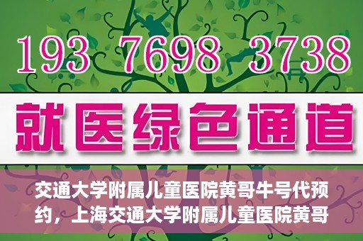 交通大学附属儿童医院黄哥牛号代预约，上海交通大学附属儿童医院黄哥牛号预约指南，轻松预约，关爱儿童健康之路