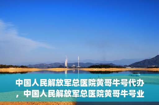 中国人民解放军总医院黄哥牛号代办，中国人民解放军总医院黄哥牛号业务代办揭秘